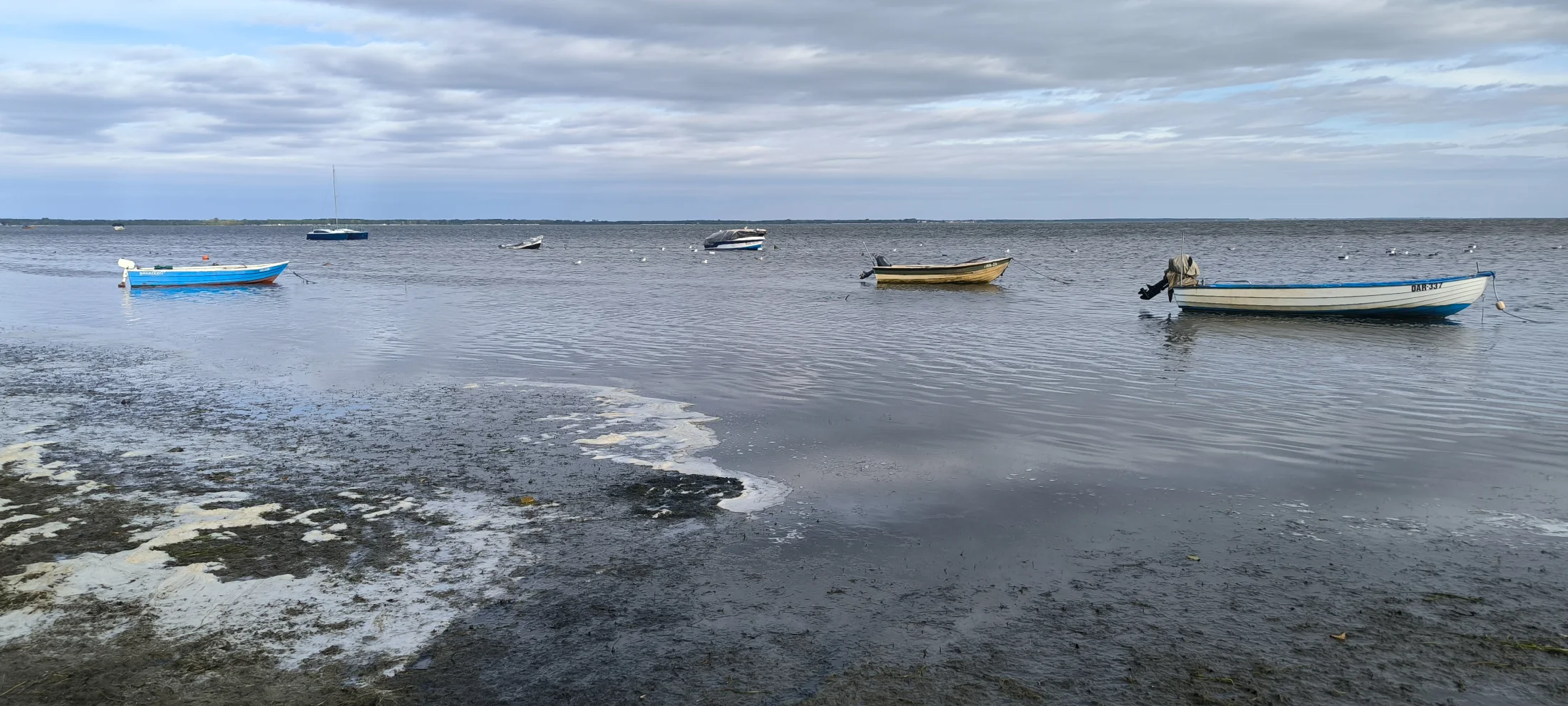 Vista panorámica de barcos pesqueros amarrados en una tranquila bahía del Báltico, panorama de la costa