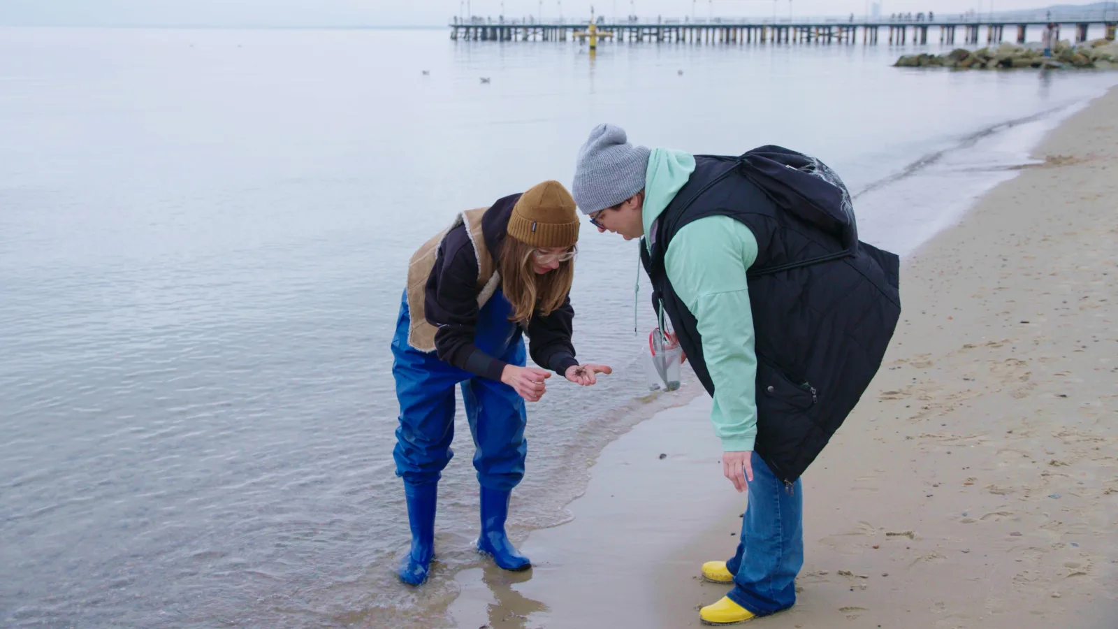 Dos personas inclinadas sobre la orilla observando conchas encontradas, con el muelle al fondo