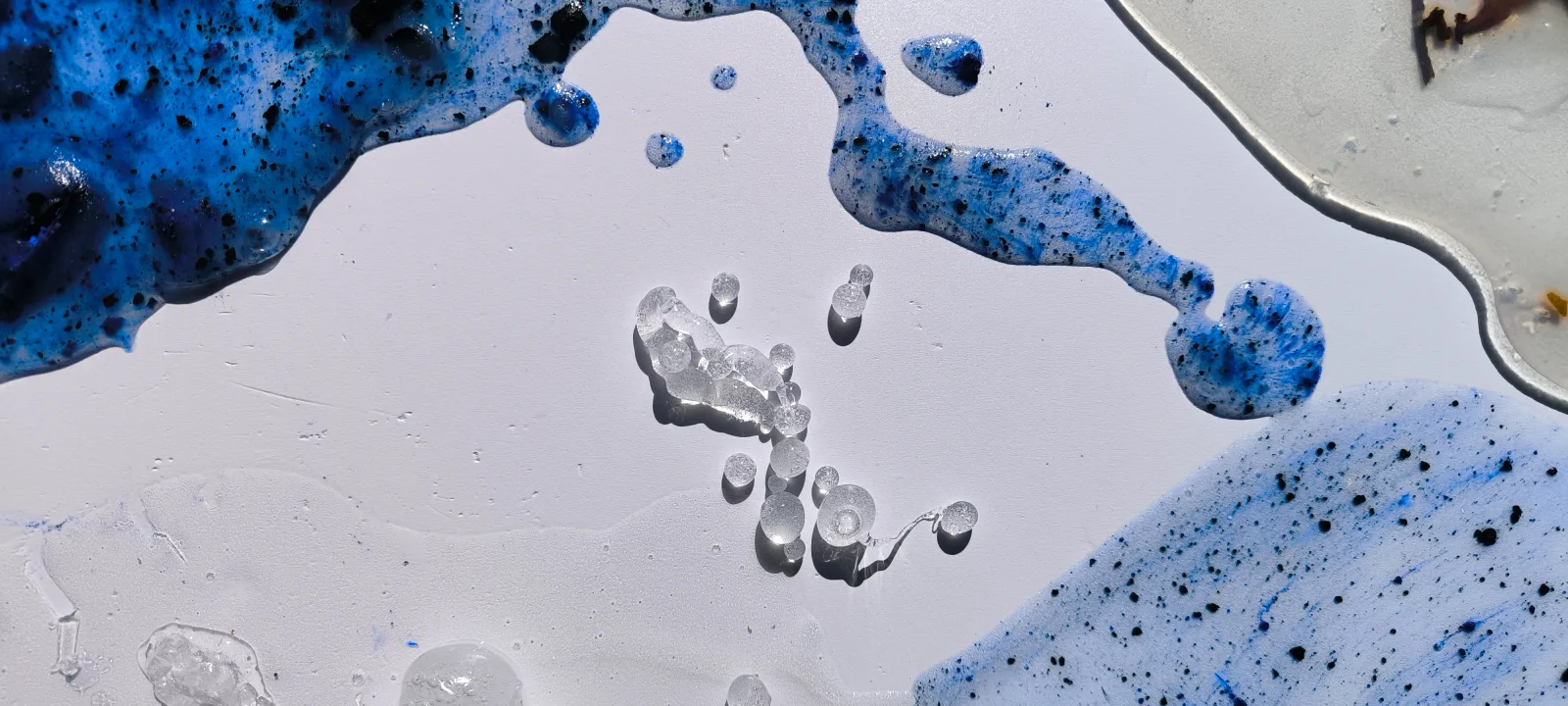 Composición abstracta con pintura azul de algas y blanco sobre fondo blanco
