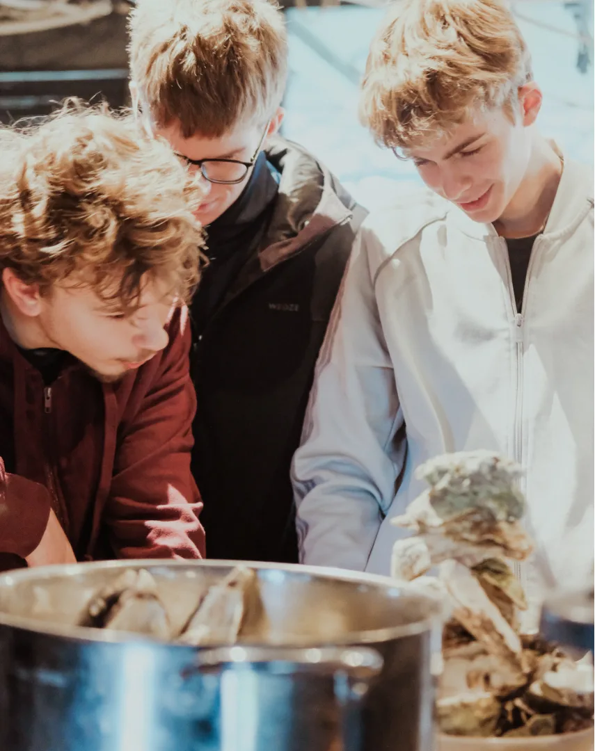 Taller — desarrollo de harina de cal a partir de conchas de ostra con alumnos de una escuela de construcción